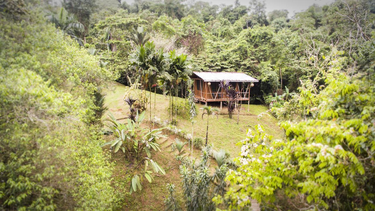 Naguala Jungle Lodge Drakes Bay Buitenkant foto