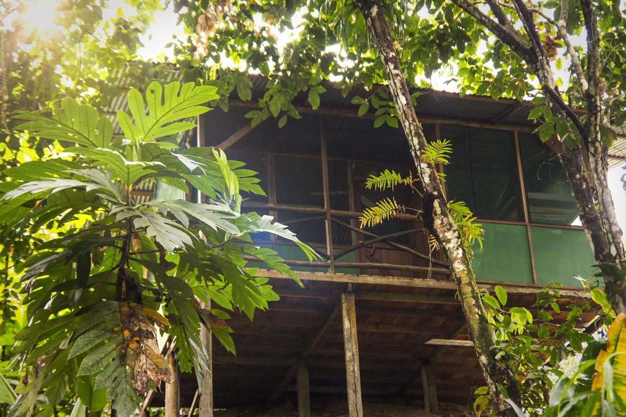 Naguala Jungle Lodge Drakes Bay Buitenkant foto