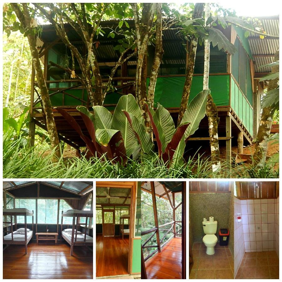 Naguala Jungle Lodge Drakes Bay Buitenkant foto